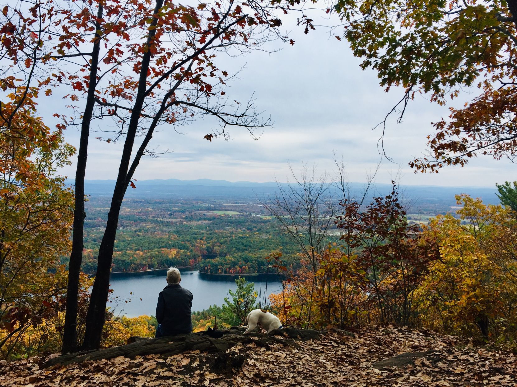 A look over the lake